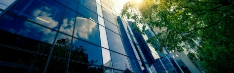 Paris Peace Forum 1600x500.jpg