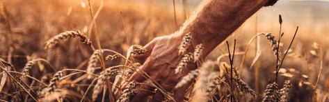 Values 1600 per 500.jpg