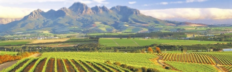 Sustainability 1600 per 500.jpg