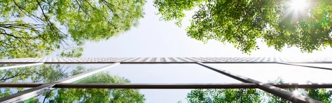 A year like no other: Mazars publishes 2019/20 annual report