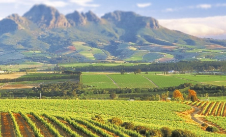 Sustainability 1600 per 500.jpg