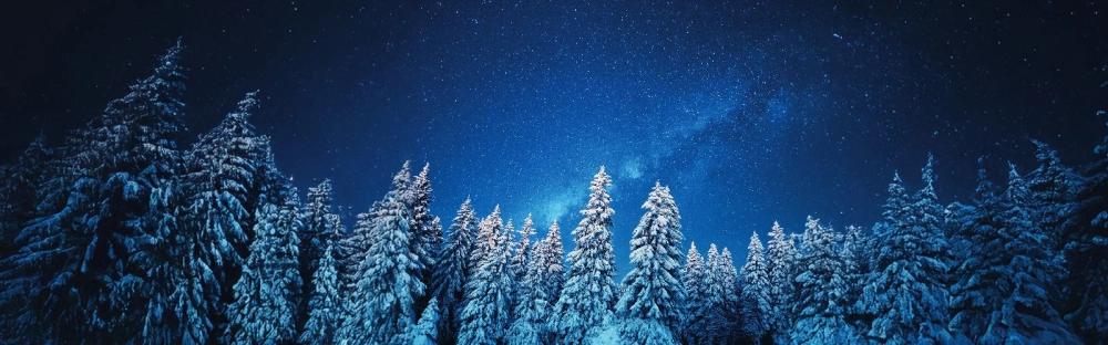 a43ee4101eed-New-Project-2024-12-23T133632.782.jpg.webp a43ee4101eed-New-Project-2024-12-23T133632.782.jpg.webp