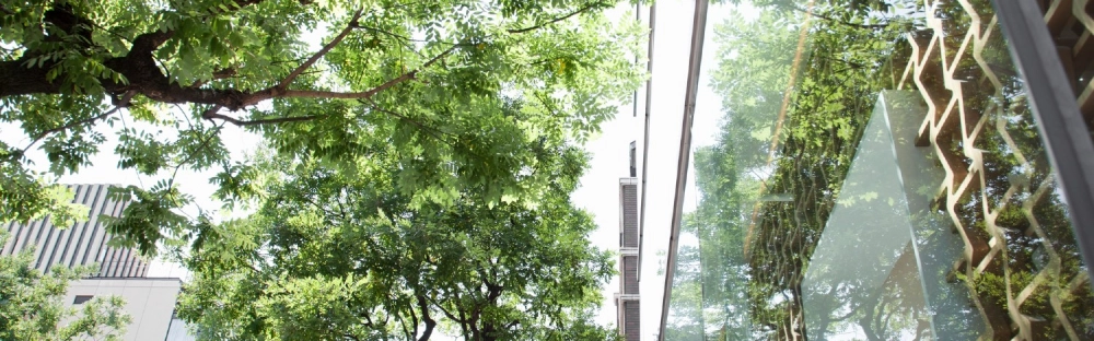 b56ebb1b00db-SBTi-cover-photo-1500-x-600.jpg.jpg.webp b56ebb1b00db-SBTi-cover-photo-1500-x-600.jpg.jpg.webp