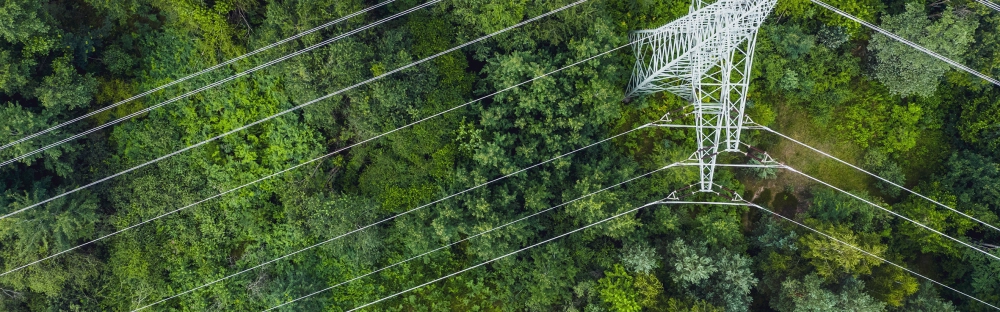 a7ae4d77f340-Sustainability.jpg.webp a7ae4d77f340-Sustainability.jpg.webp