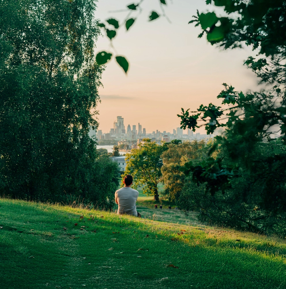 Sustainability reports