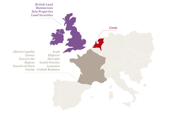 Constitution of the sample