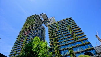 photo nurturing growth.jpg