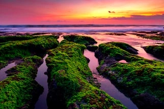 Mazars-for-good_growing-with-purpose