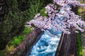 growing with purpose