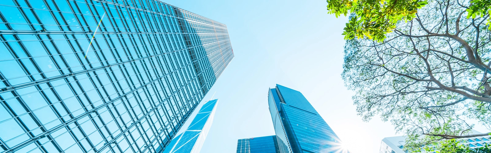 Private equity advisory and services by Forvis Mazars