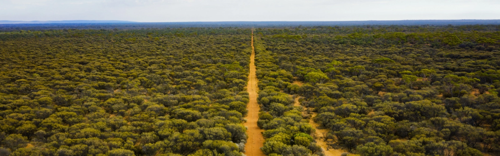 Sustainability 2 1600 per 500.jpg